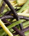 WCS Bean - TRICOLOUR BEAN BLEND