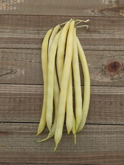 WCS Beans (Bush) - Gold Rush Certified Organic
