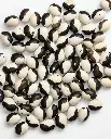 WCS Bean (Drying) - Calypso