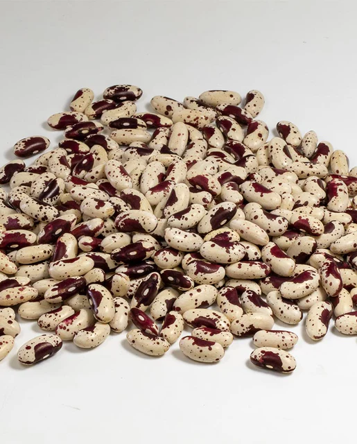 WCS Bean (Drying) - Jacob's Cattle Bean Organic