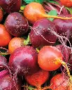 WCS Beets - Beet Blend
