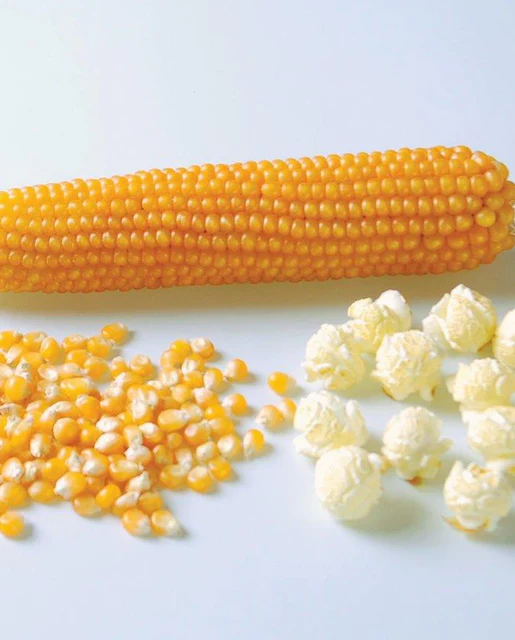 WCS Corn - Caramel Crisp Popcorn