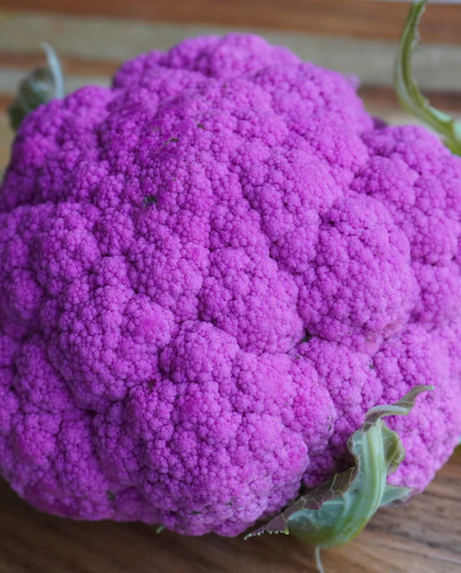 WCS Cauliflower - Purple Moon
