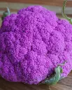 WCS Cauliflower - Purple Moon