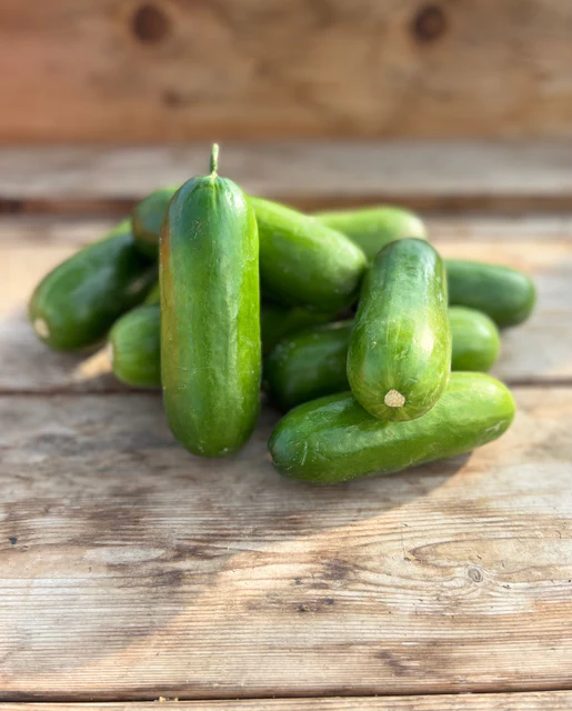 [CU382A] WCS Cucumbers - Mini-Me Certified Organic