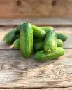 WCS Cucumbers - Mini-Me Certified Organic 