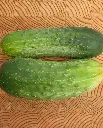 WCS Cucumbers - Homemade Pickles