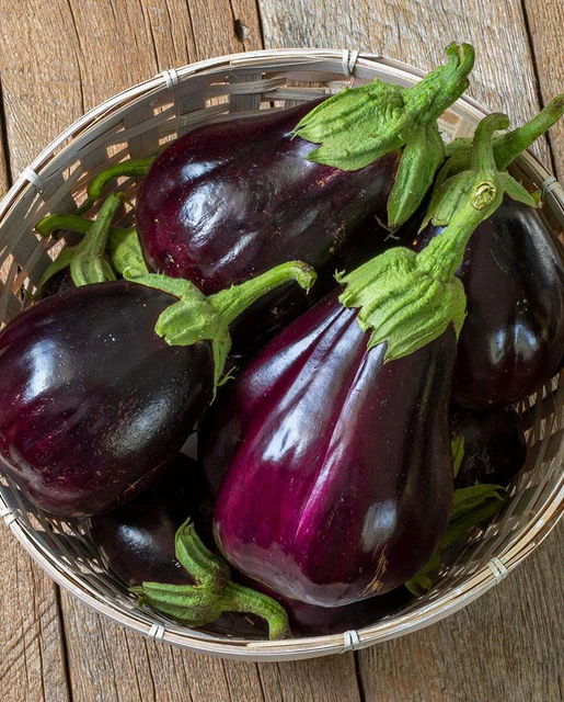 [EG414A] WCS Eggplants - Black Beauty Certified Organic