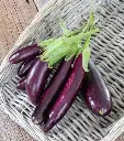 WCS Eggplants - Little Finger Certified Organic
