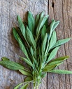WCS Herbs - Sage Ceres Certified Organic