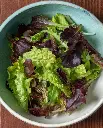 WCS Lettuce - City Garden (Pelleted) (12 Seeds)