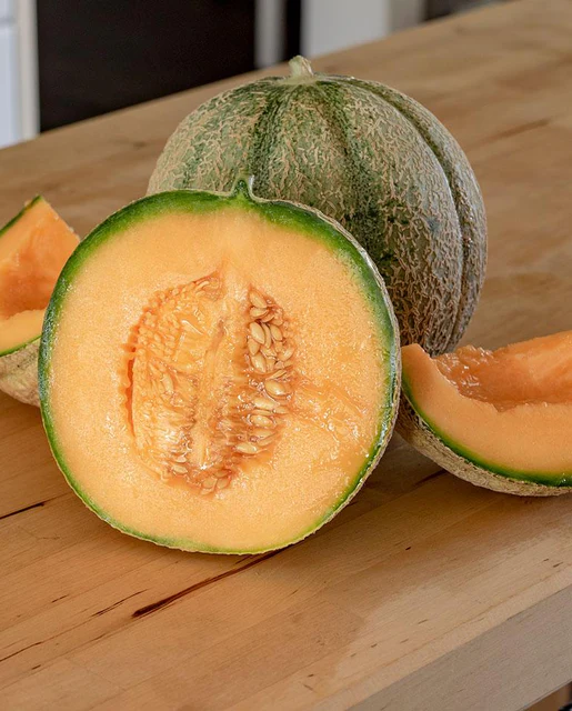 [ML500A] WCS Melon (Cantaloupe) - Halona