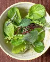 WCS Lettuce- Mescluns Wonder Wok (Pelleted) 