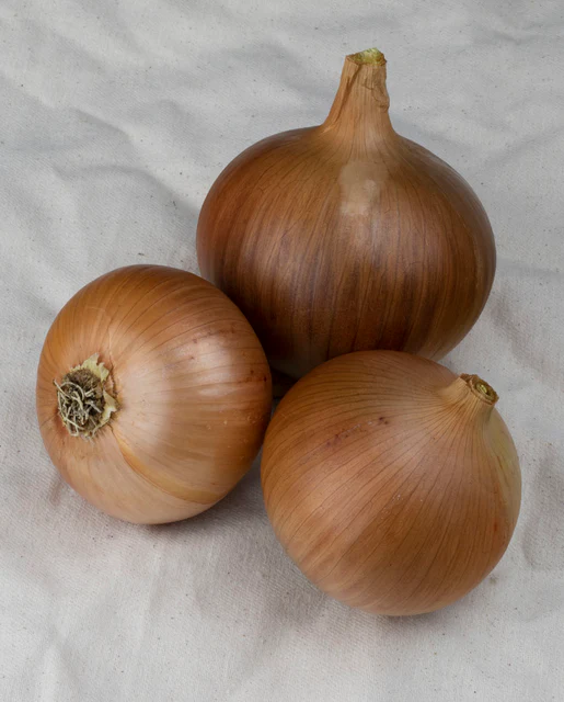 WCS Onions - Frontier F1