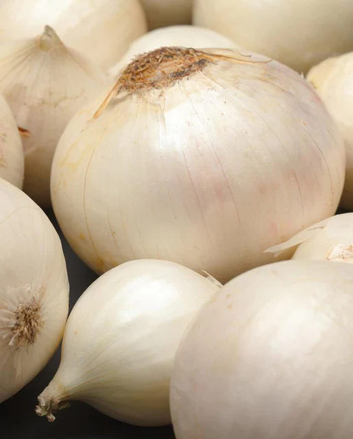[ON560A] WCS Onions - White Wing 