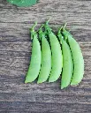 WCS Peas - Sugar Ann Certified Organic