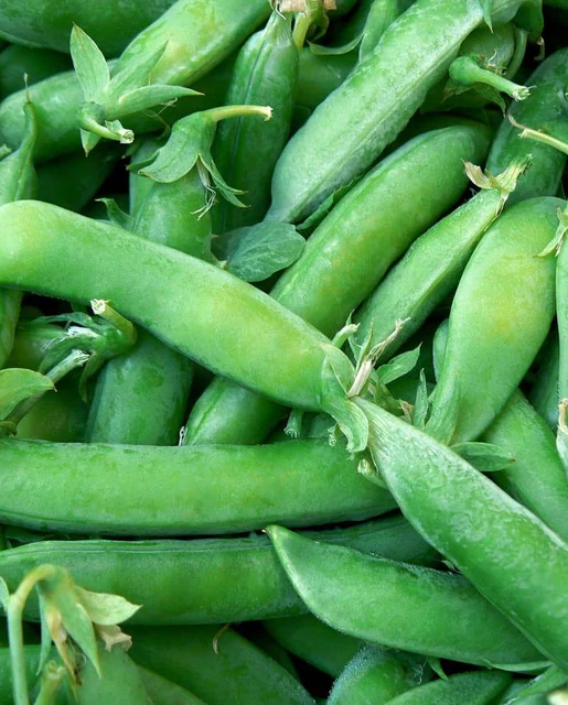 WCS Peas - Super Sugar