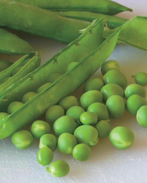 WCS Peas - Green Arrow
