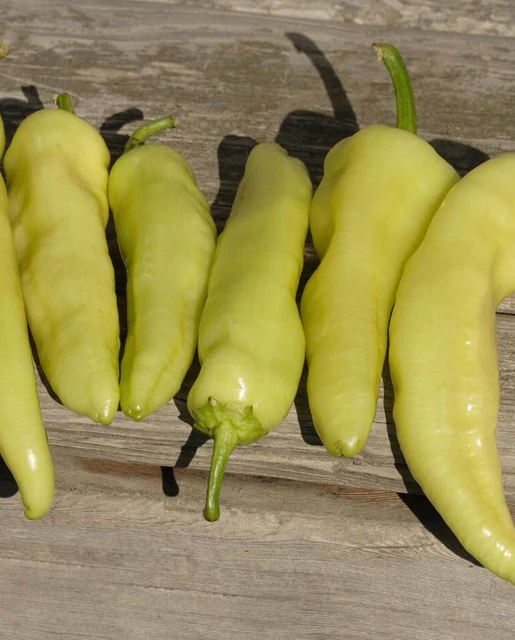 [PP648A] WCS Peppers - Hungarian Yellow Hot Wax