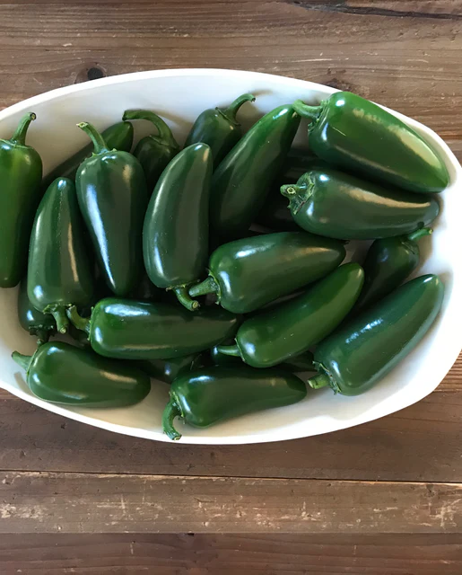 [PP655A] WCS Peppers - Black Magic Jalapeno F1 Certified Organic