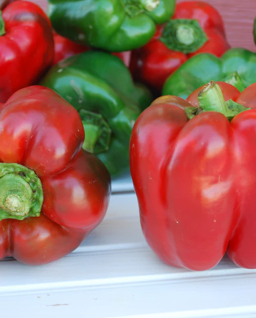 [PP693A] WCS Peppers - King of the North Certified Organic