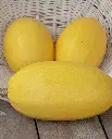 WCS Squash - Spaghetti Squash