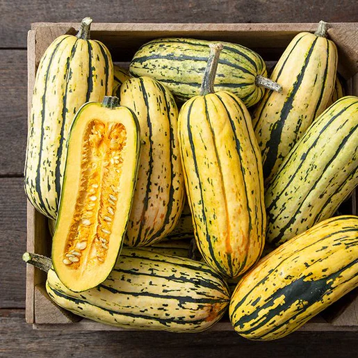 WCS Squash - Bush Delicata Certified Organic