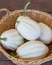 WCS Squash (Winter) - Mashed Potatoes