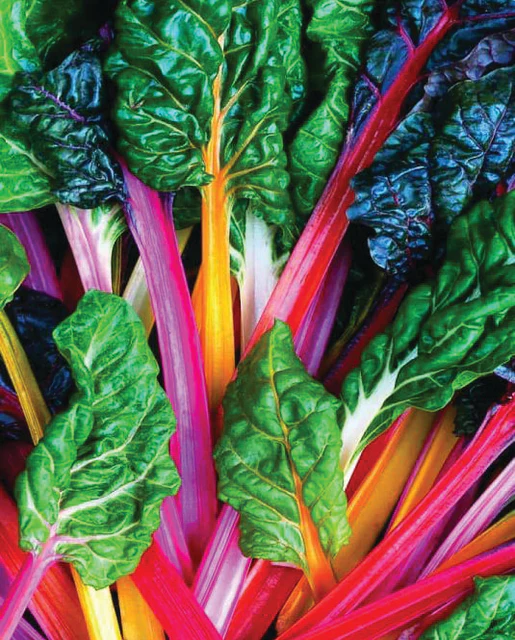 [SW754A] WCS Swiss Chard - Bright Lights (Rainbow)
