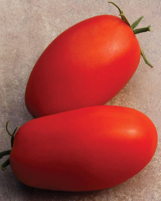 [TM829A] WCS Tomatoes (Roma) - Supremo (Bush)