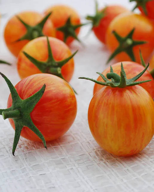 [TM836A] WCS Tomatoes (Cherry) - Sunrise Bumble Bee Certified Organic