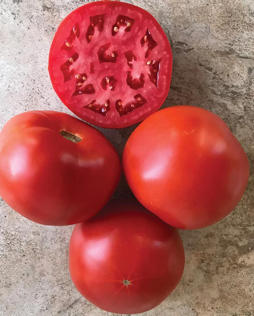 WCS Tomatoes (Slicer) - Roadster F1