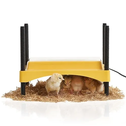 [KVS 1138-016] Brinsea- EcoGlow Safety 600 Brooder (20 chick)