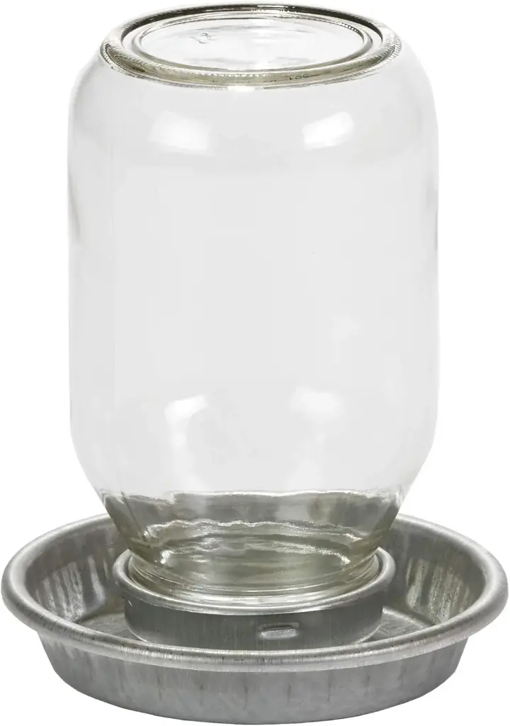 [115 047] Miller (Little Giant) - Galvanized Round Mason Jar Baby Chick Waterer (1 Qt)
