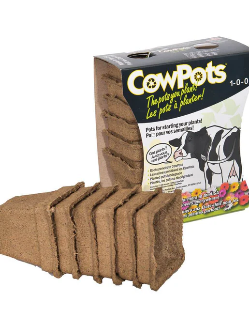 [HG800B] Cow Pots 4" (Pack of 6)