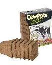 Cow Pots 4" (Pack of 6)