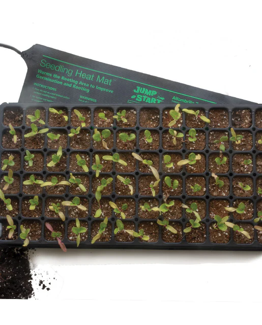 Professional Seed Starting - Plug Inserts 72 Cells (10x20)