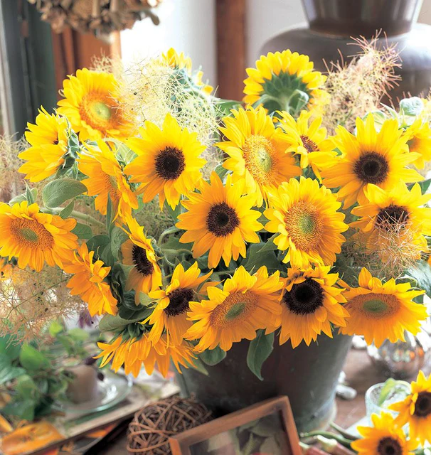 [FL3871A] WCS Flowers - Sunflower - Sunrich Blend
