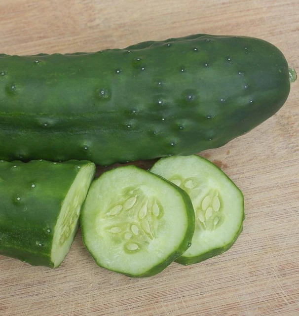 [CU400A] WCS Cucumbers - Olympian