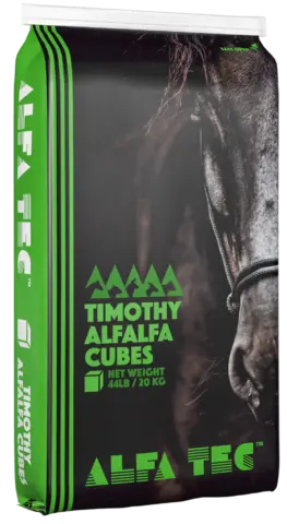 ALFA-TEC Alfalfa/Timothy Cubes (20 kg bag)