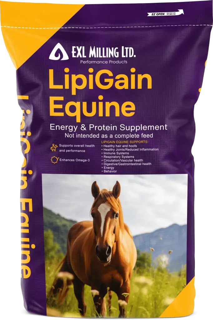LipiGain Equine 18.2kg