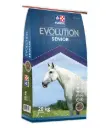 Purina Evolution Senior 20 kg