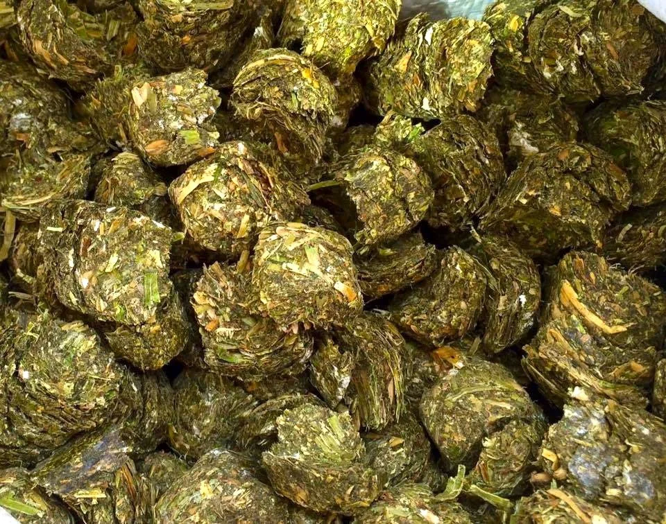 Danco Forage MUSTANG SALLY Alfalfa Cubes (22.72kg (50lb) Bag)