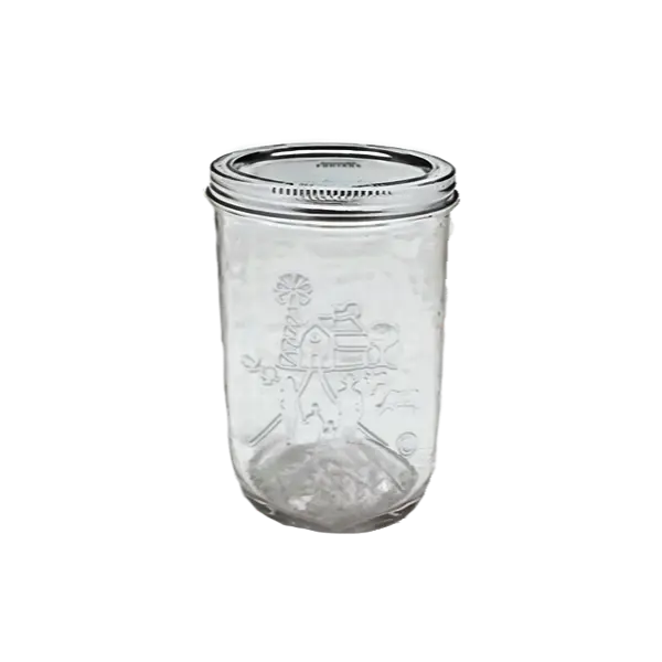 [TBL-FMJ-16OZ-12-W] FORJARS - Canning Mason Jars (500ml (16oz) 12-pack WIDEMOUTH)