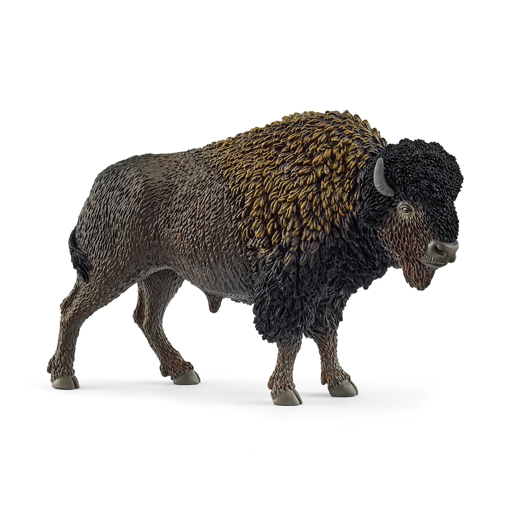 Schleich - Bison 