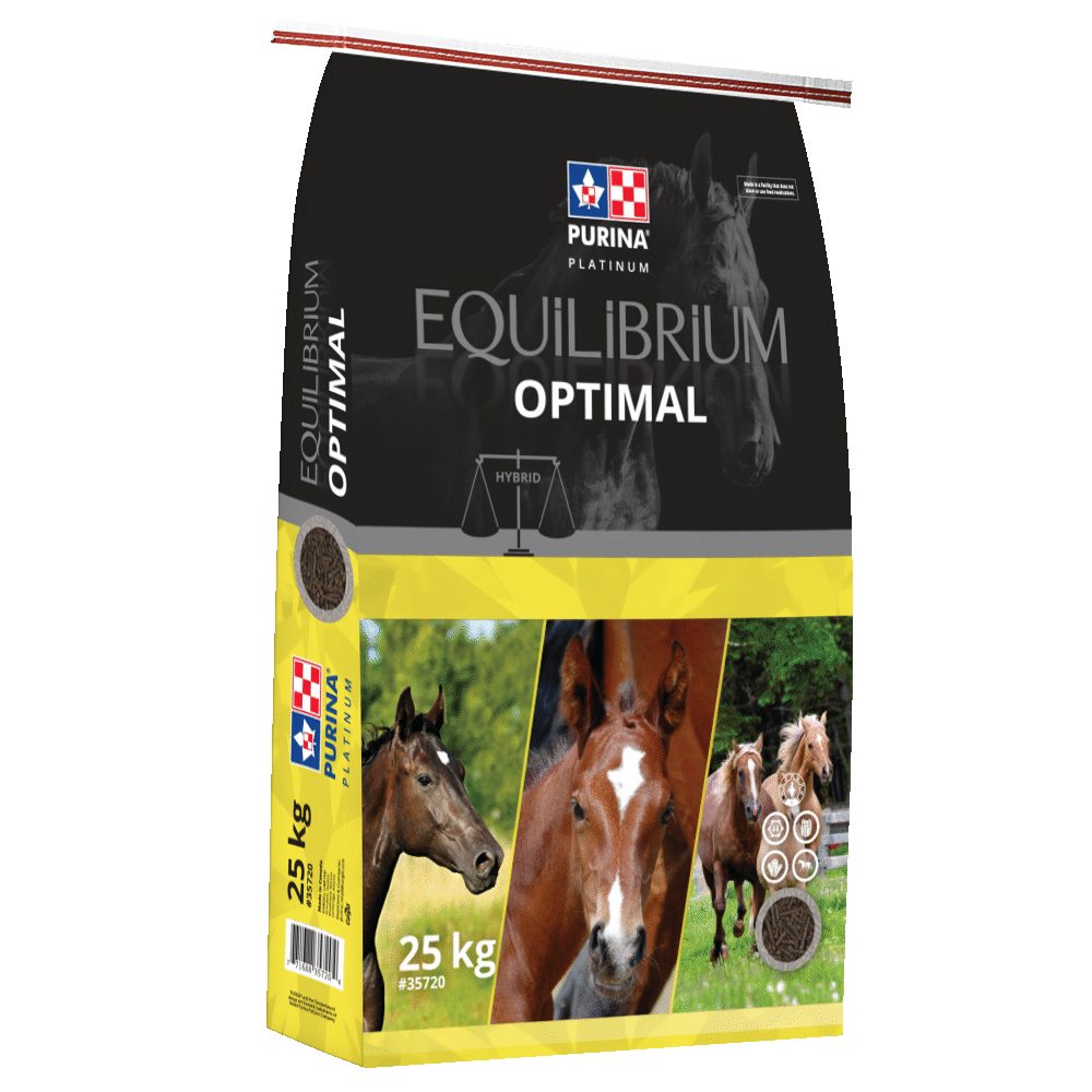 Purina® Equilbrium Optimal 25kg