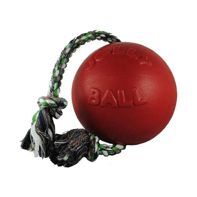Jolly Pets Romp-n-Roll Dog Toy 6"