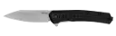 KERSHAW - RAYGUN