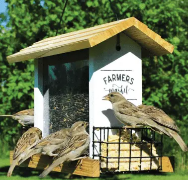 [NW-WWLF2-DECO] Nature's Way- Farmhouse Feeder Hopper with Suet Cages (3 qt)