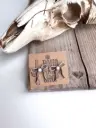 BOHO RANCH - Western Coquette Bow Stone Stud Earrings